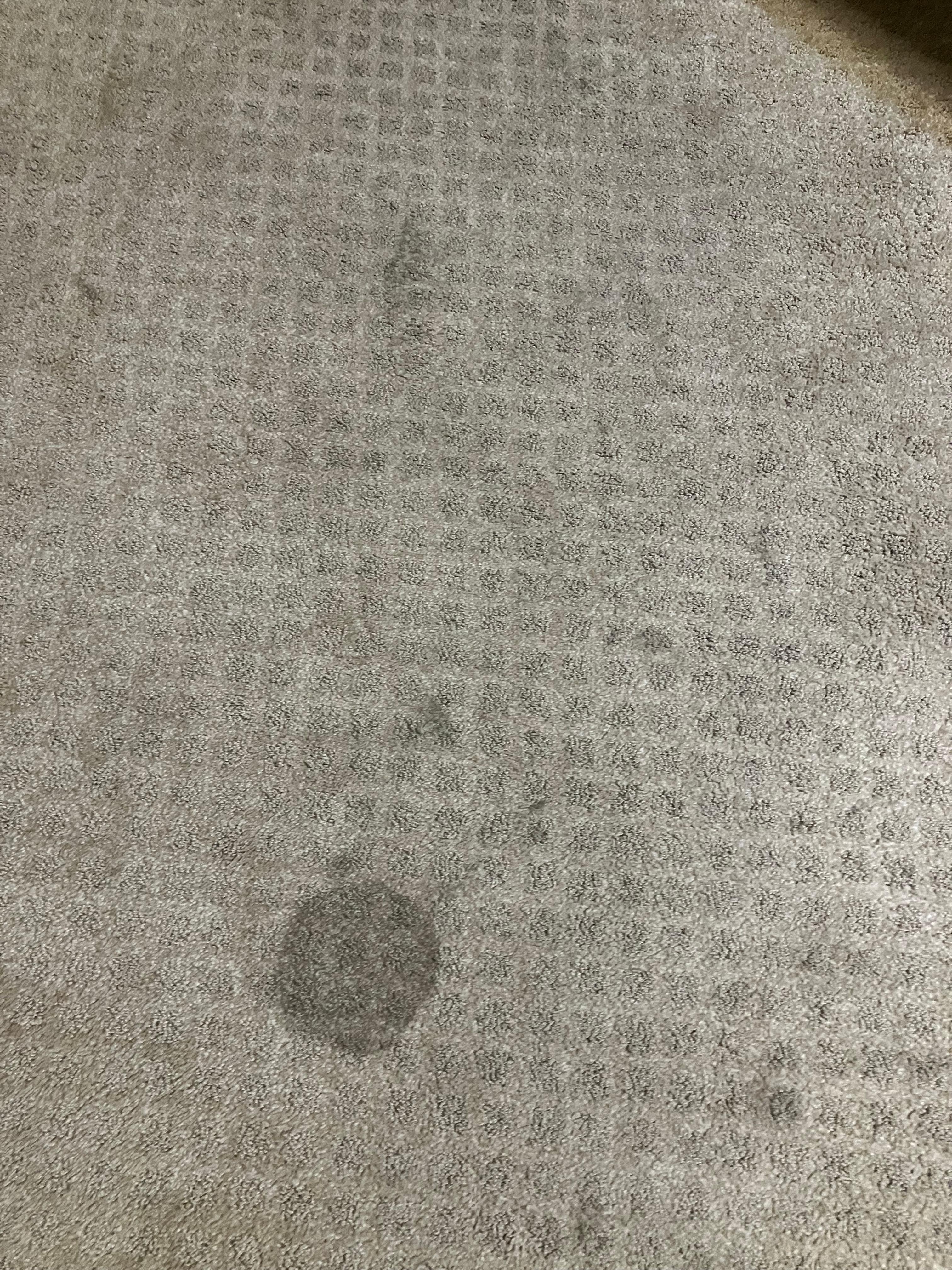 Stains on carpet