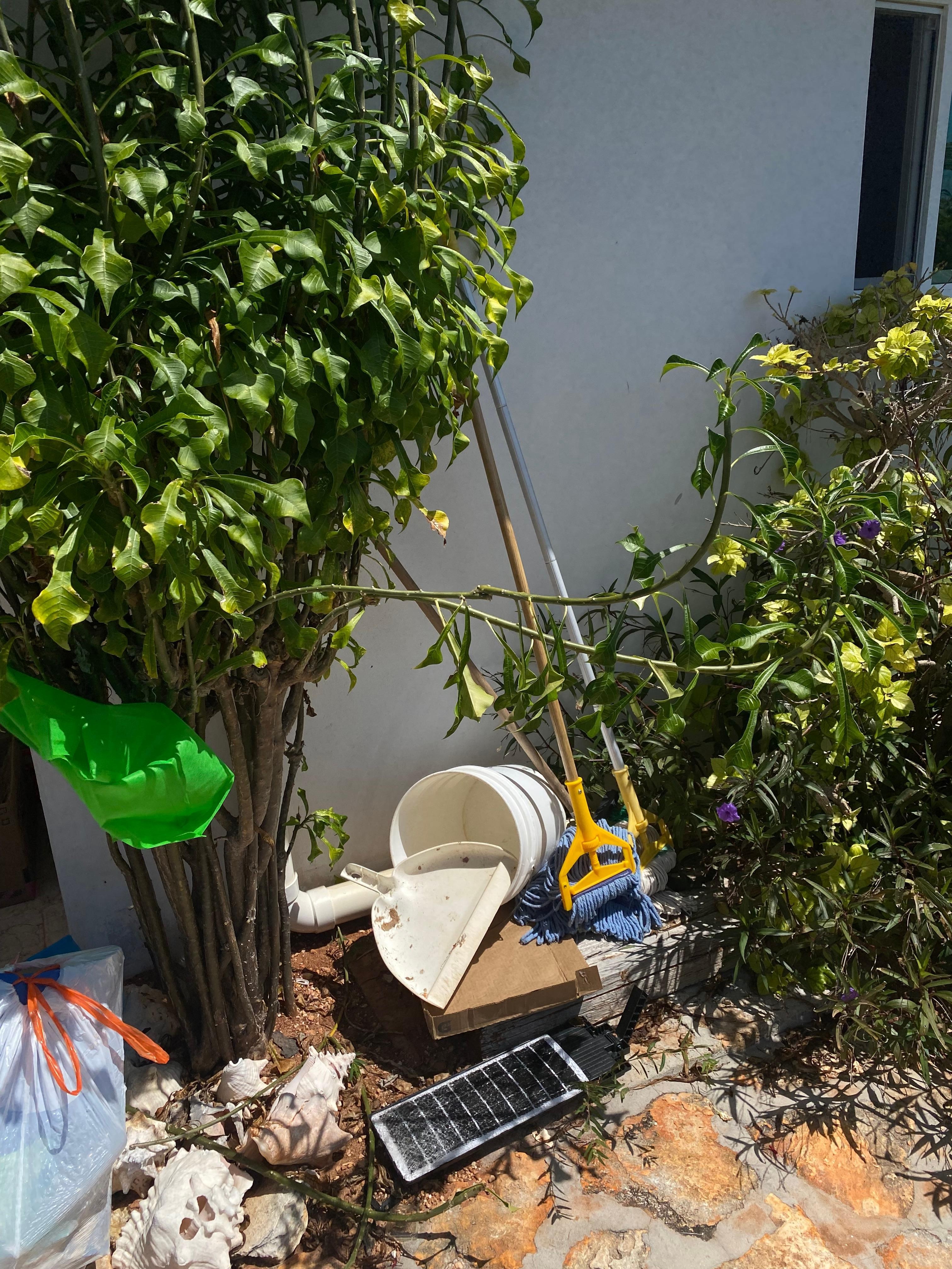 This was some of the garbage in the yard when we arrived