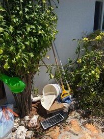 This was some of the garbage in the yard when we arrived