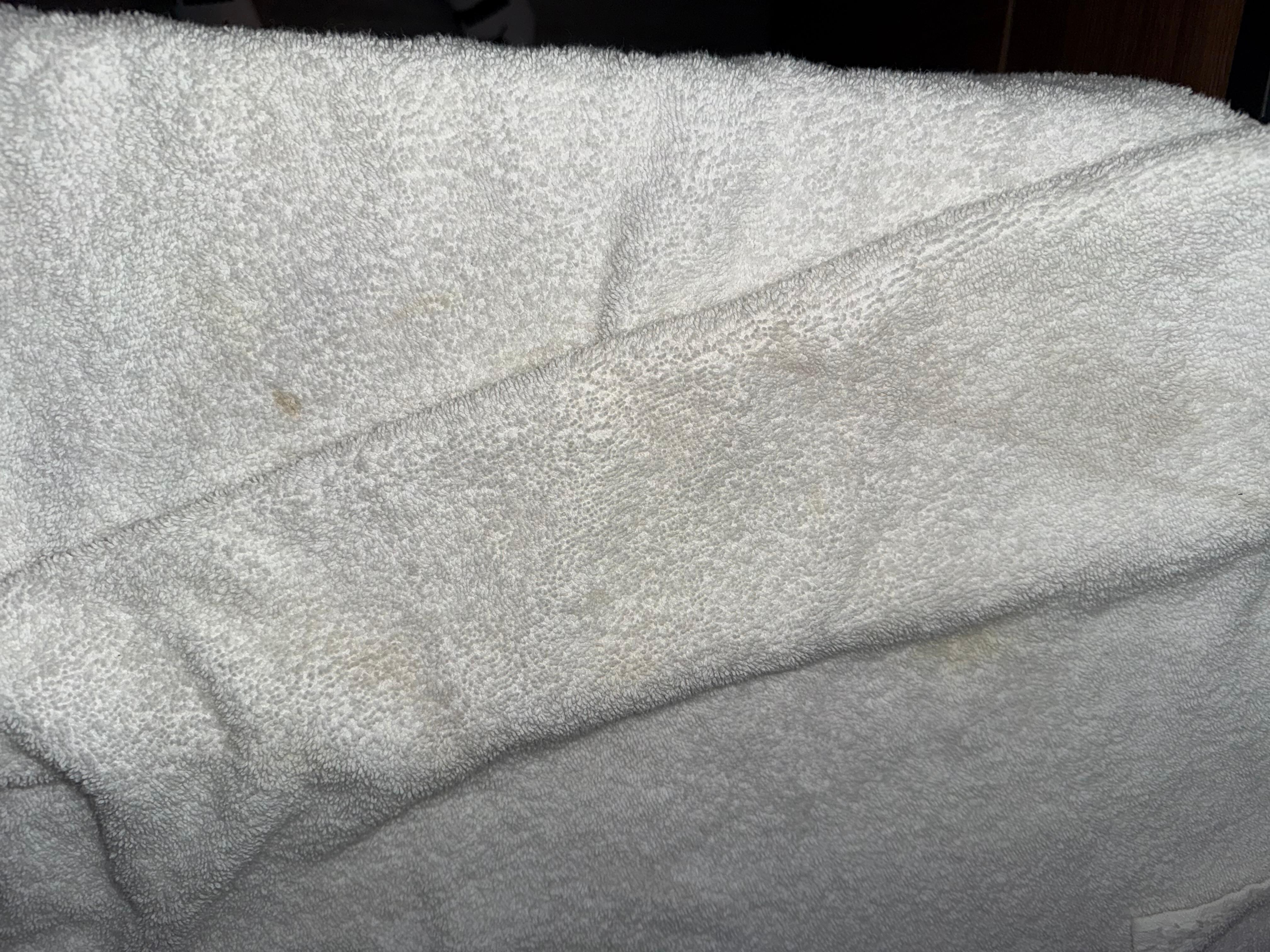 Dirty (stained?) towel