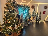 Lobby Xmas display