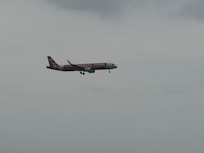 Watch the planes from Level 8