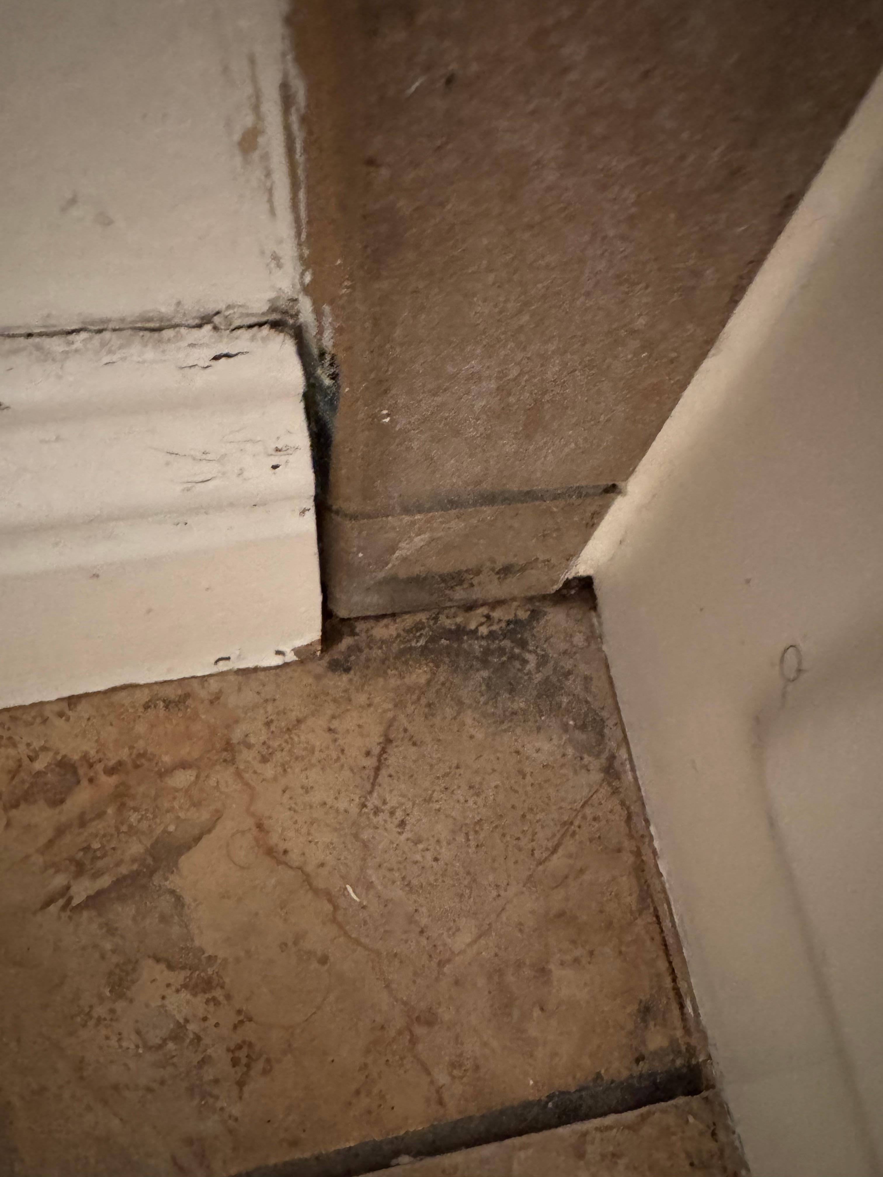 Gross dirty build up