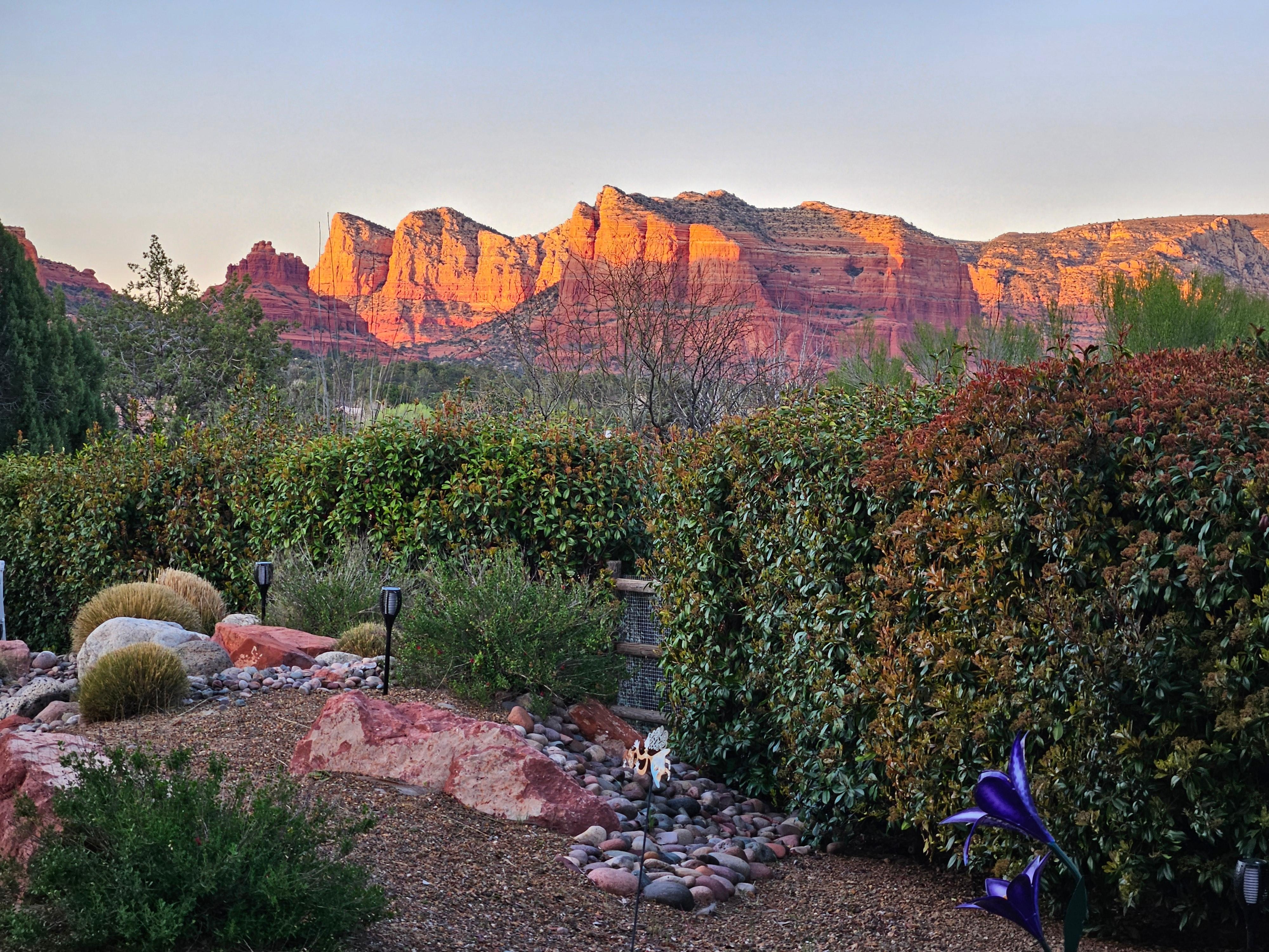View from outdoor patio.