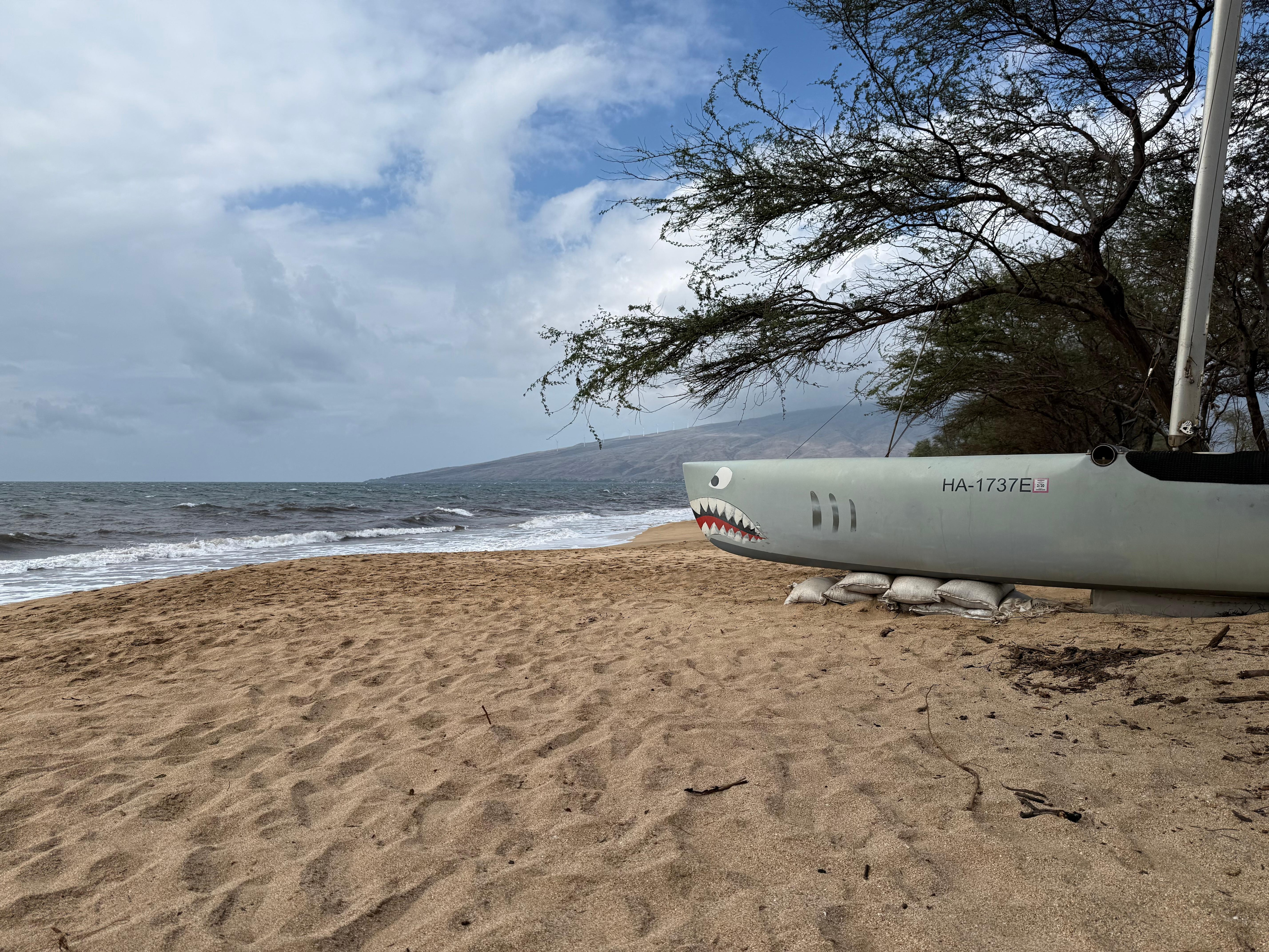 A walk along the long empty beautiful beach