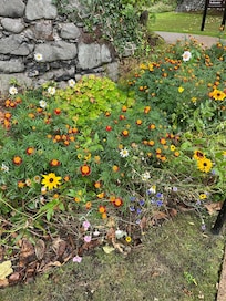 Castle garden