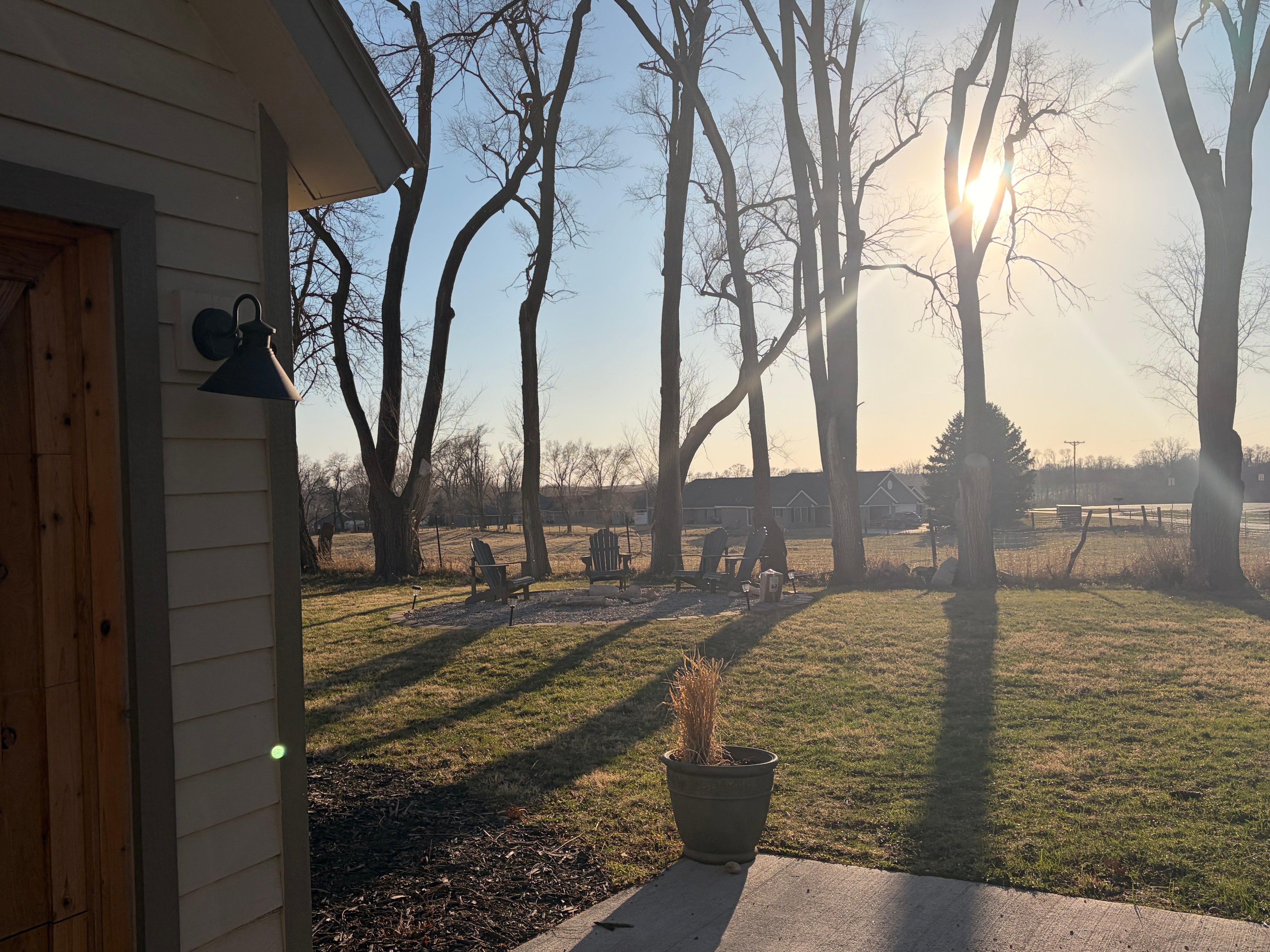 Pretty evening light 