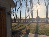 Pretty evening light