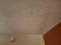 ceiling in living room