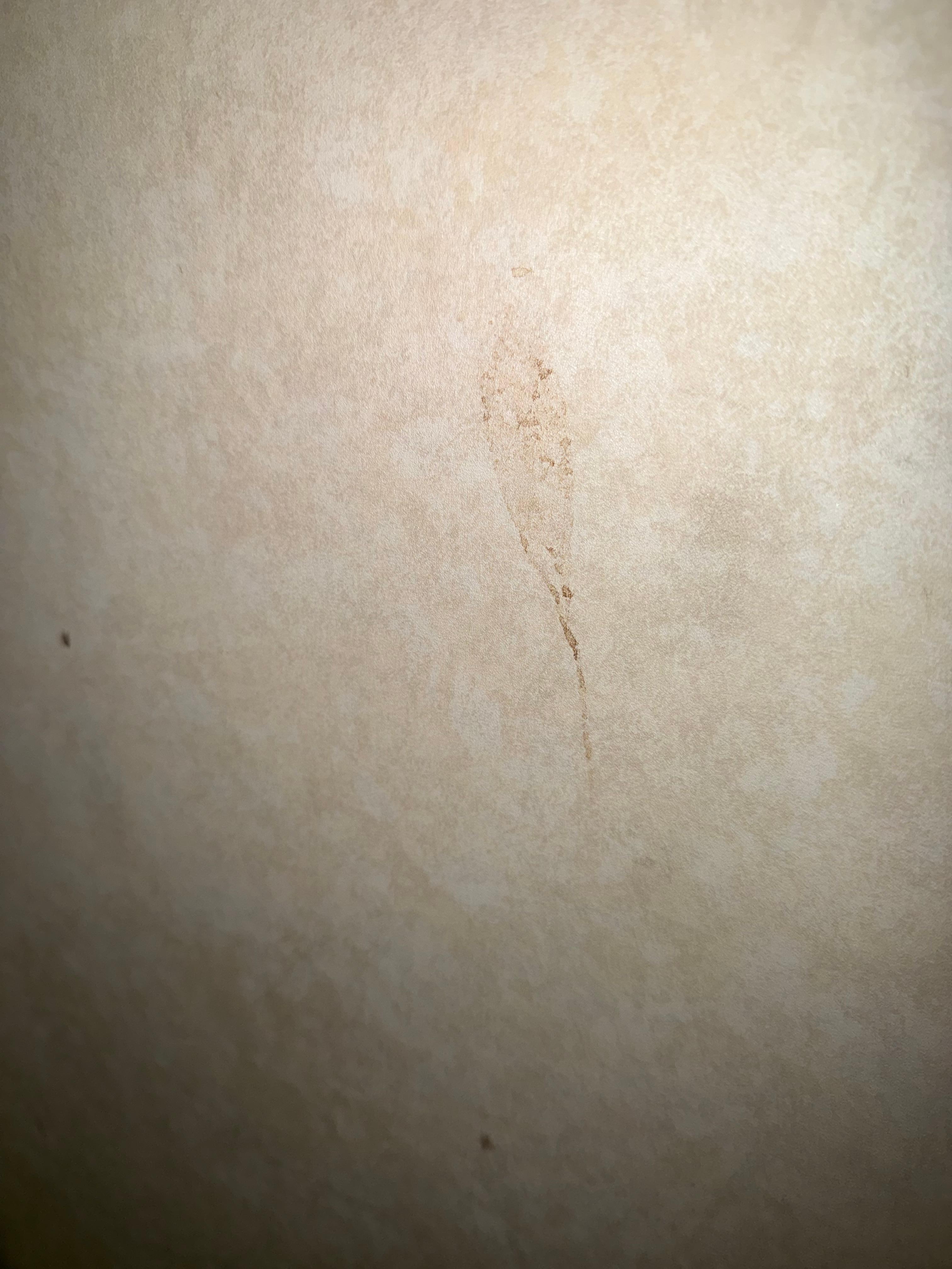 Something on the wall. 