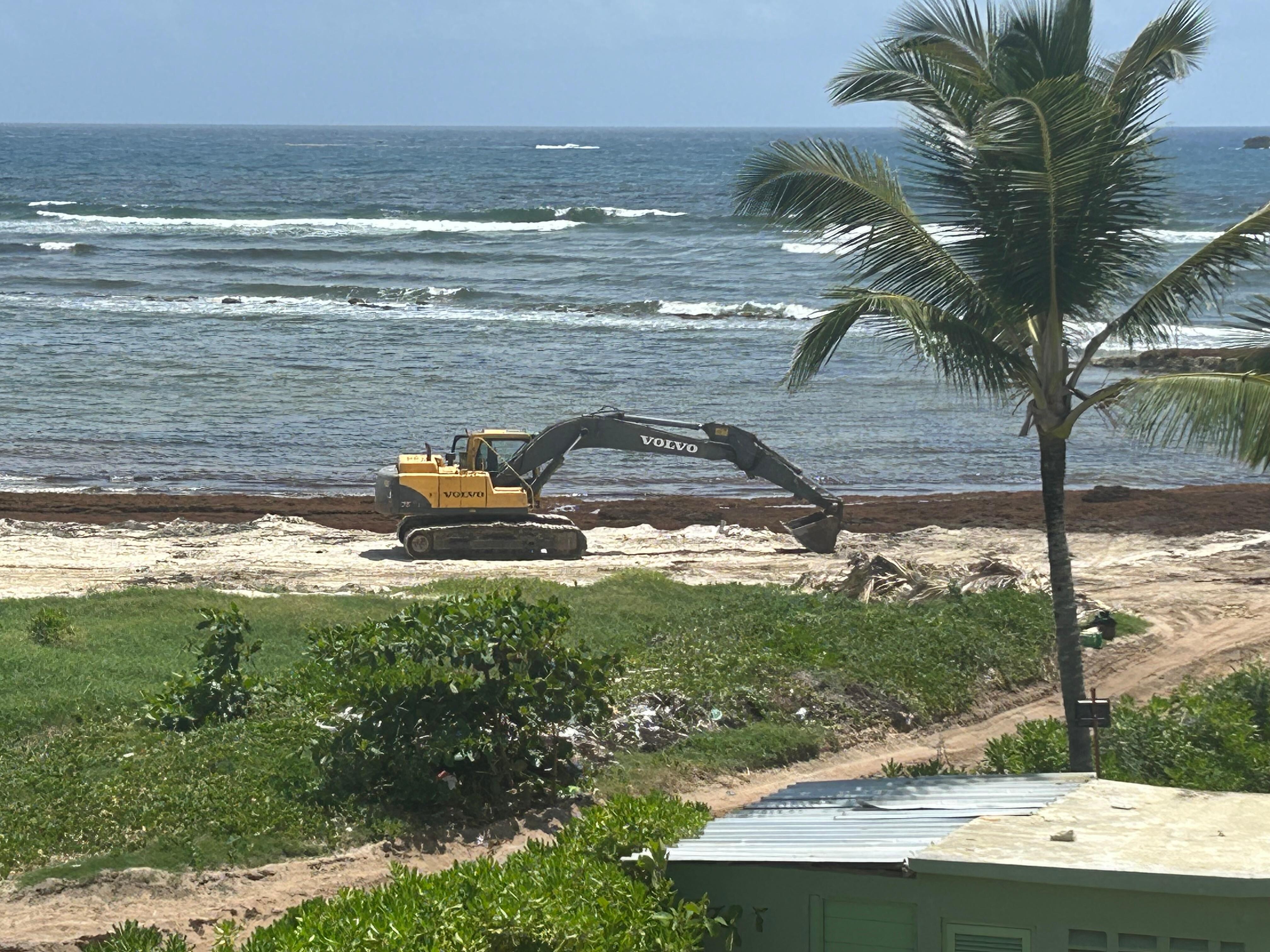 It was dangerous with all the trucks in the smell of diesel. Weed was horrible. Literally nobody on the beach for the week that we were there. And then unless you get up at 4 AM to reserve a chair at the pool forget about it! Sort of disgusting!!!! 
