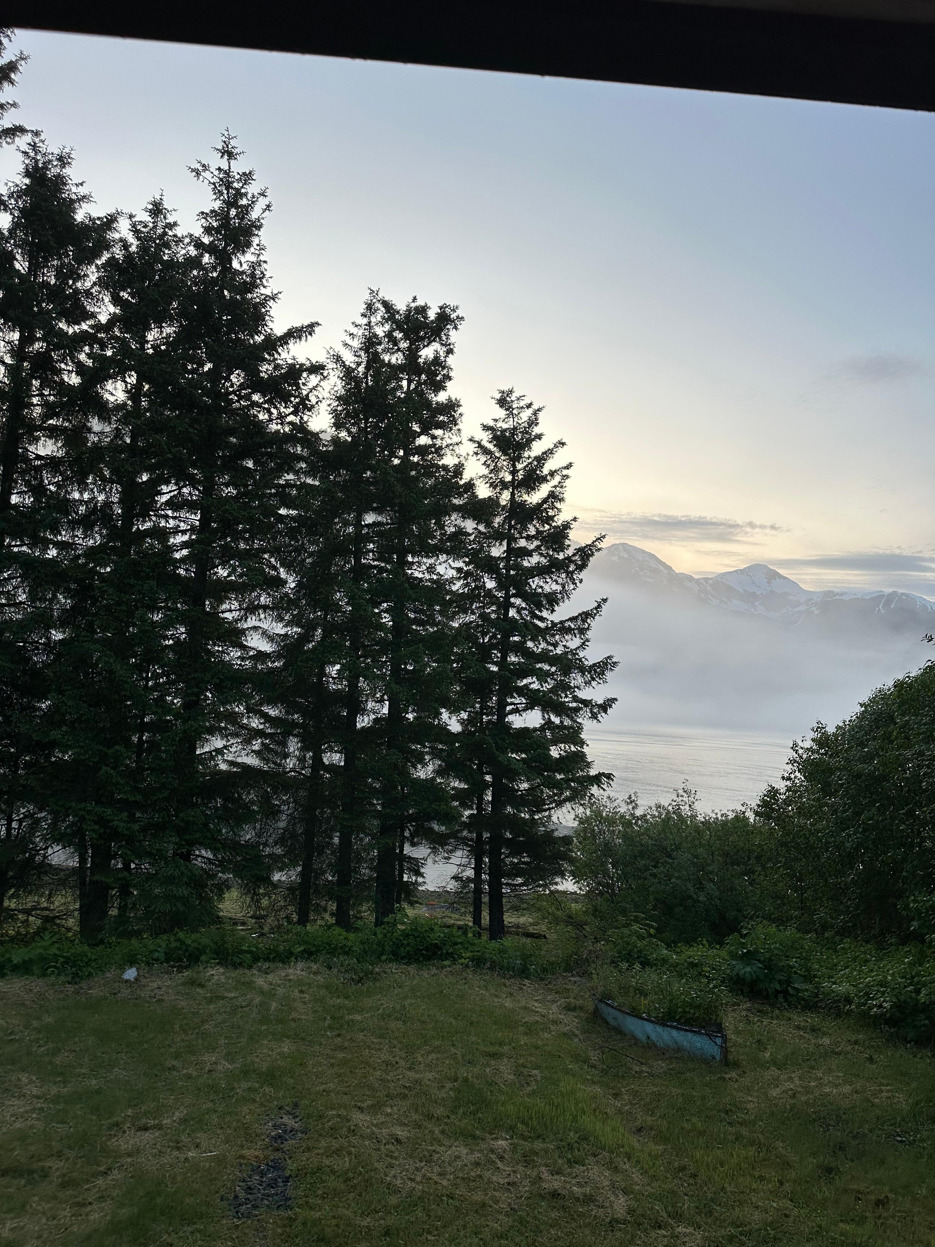Bedroom views