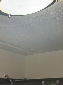 Shower ceiling paint