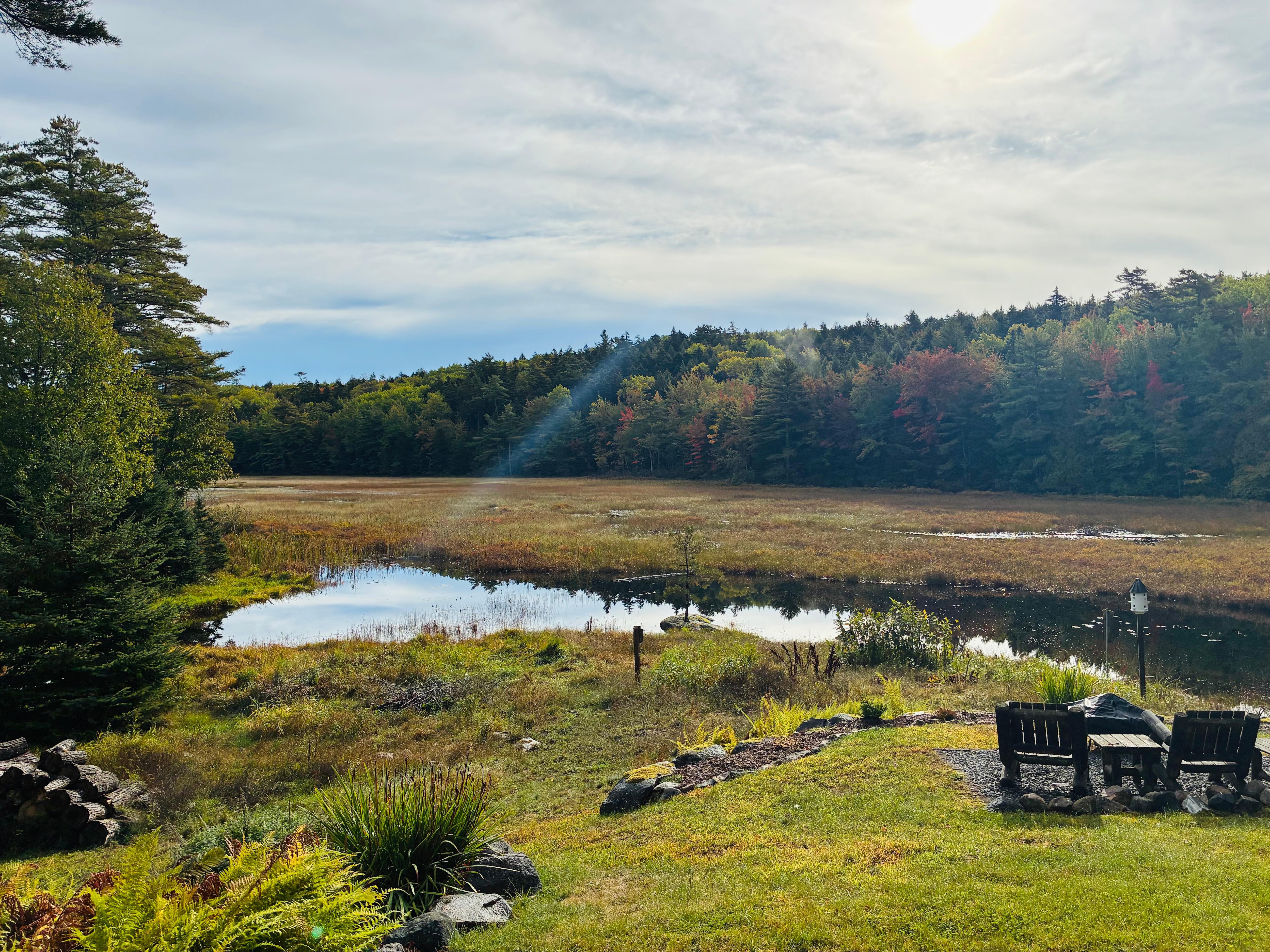 Views from the deck!