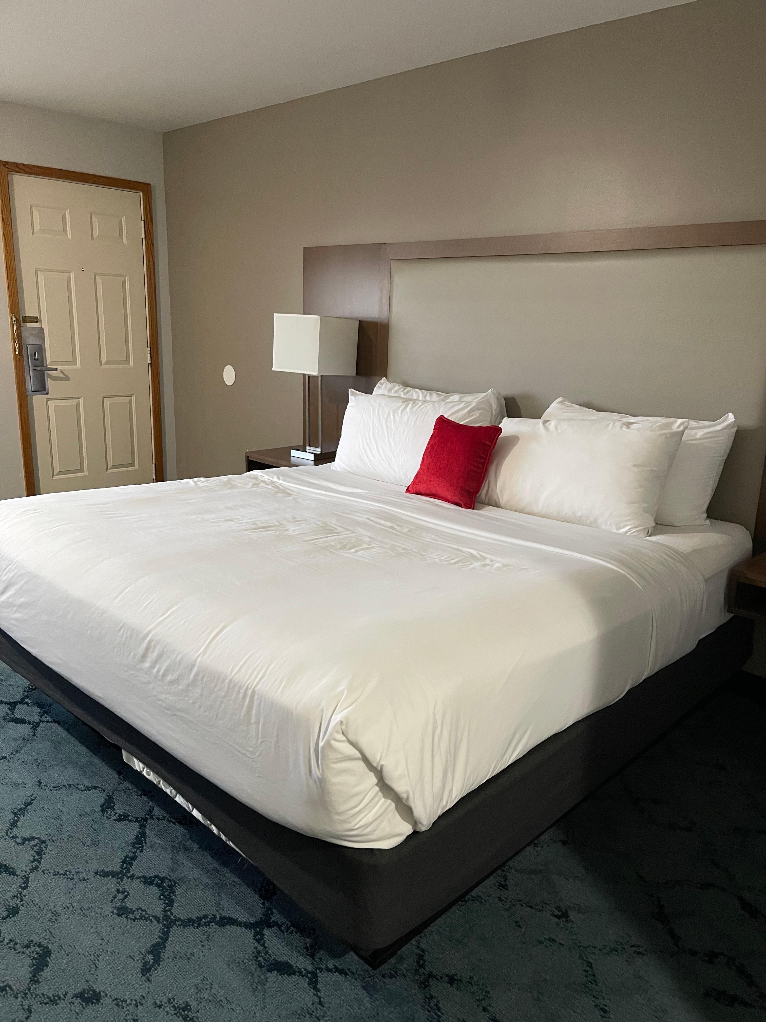 Clean comfortable room with an exceptionally comfortable bed