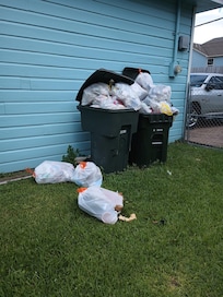 Trash when we left