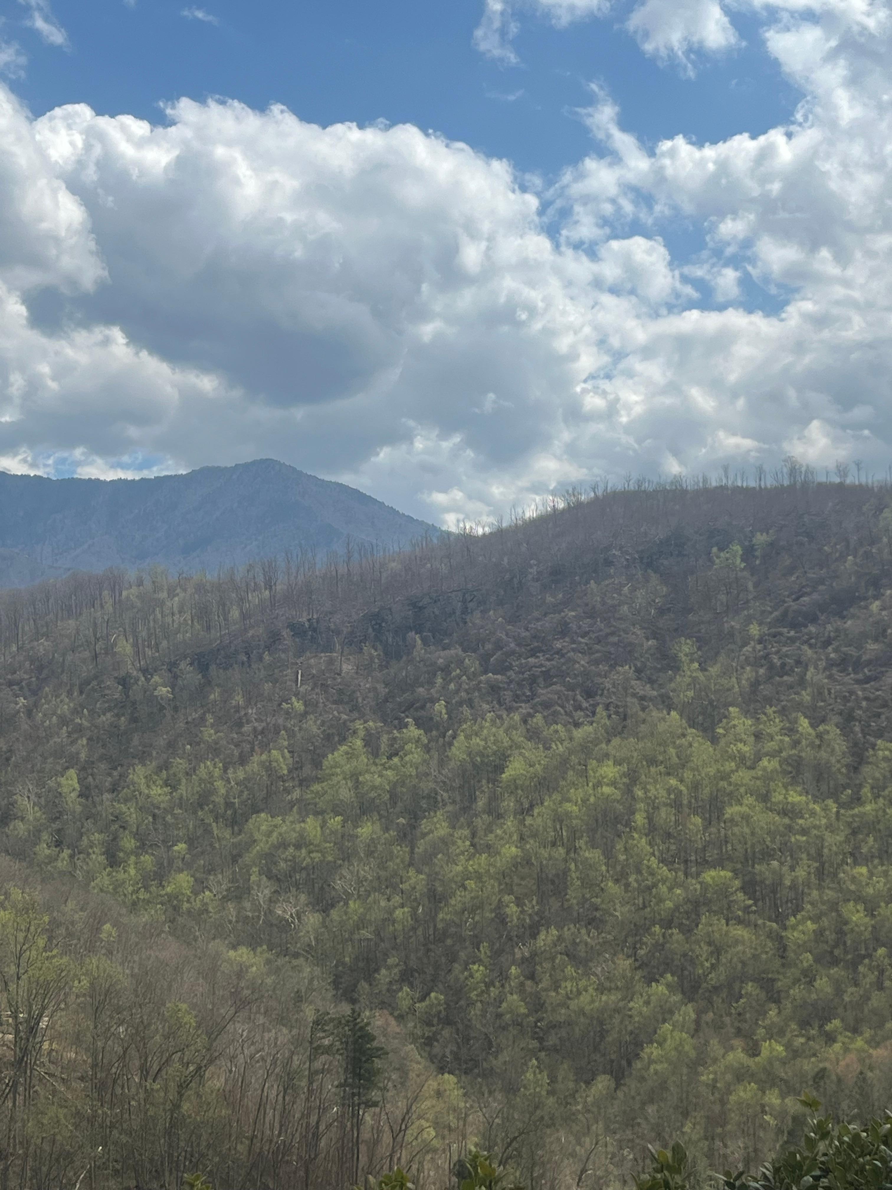 From the front porch 