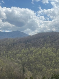 From the front porch