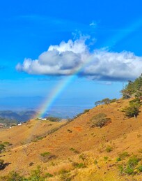 Rainbow from the porch.