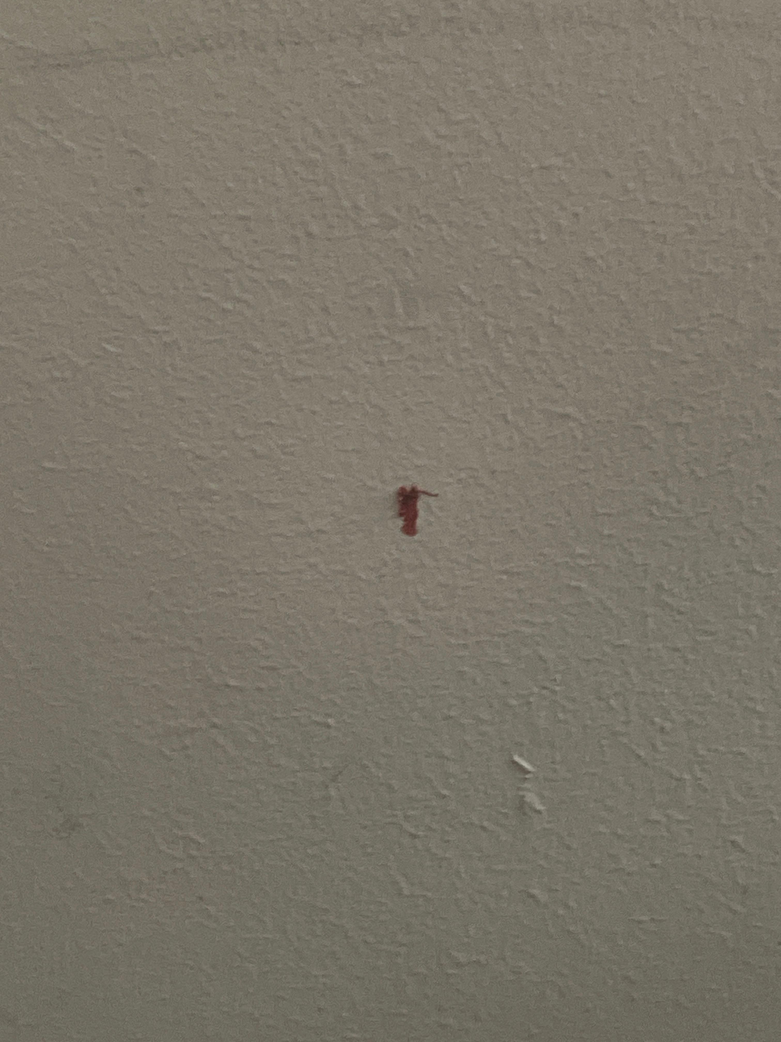 Blood on wall