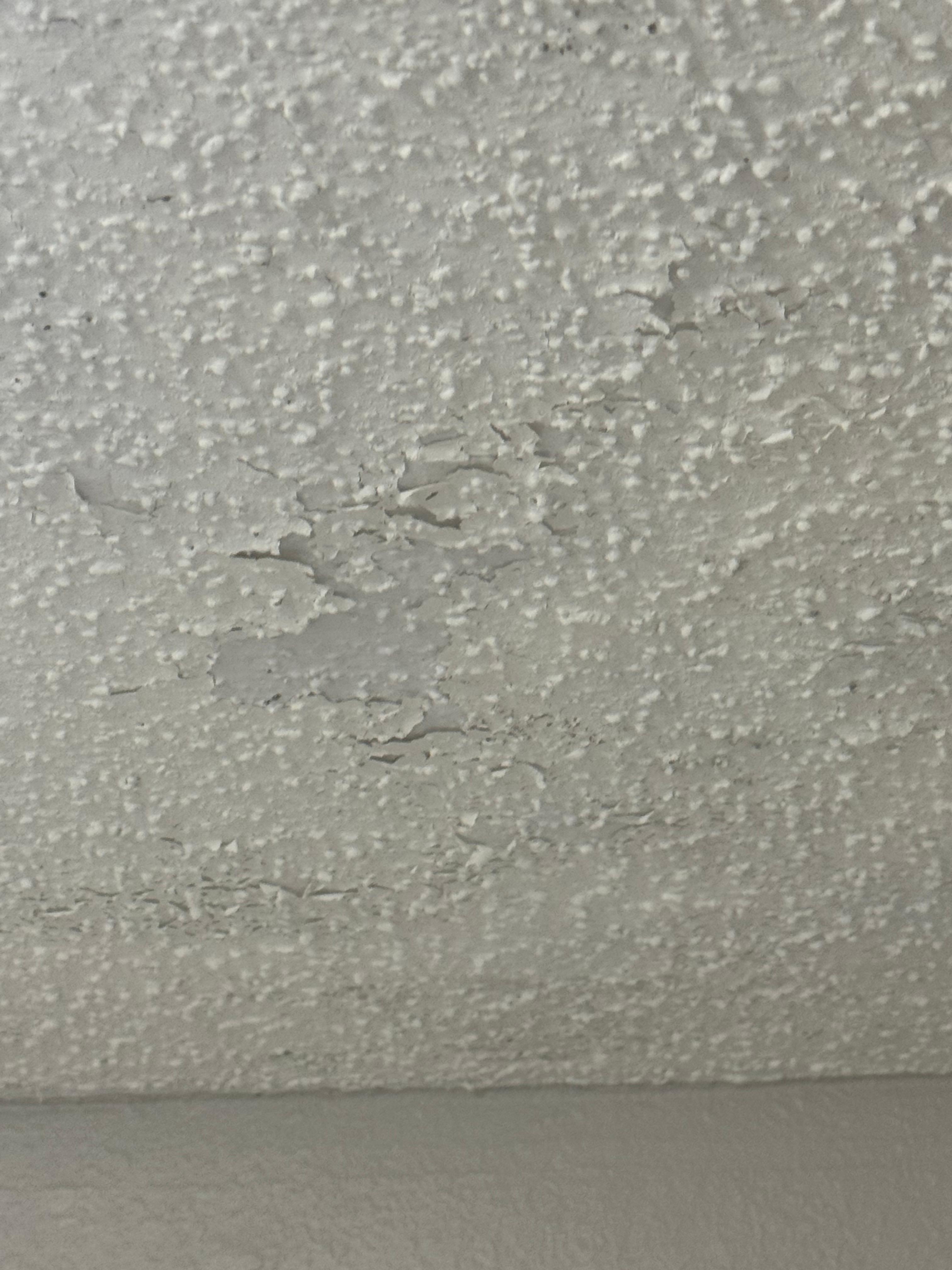 High humidity,paint peeling from above shower area.