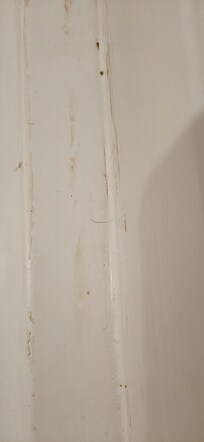 Hair on the shower floor