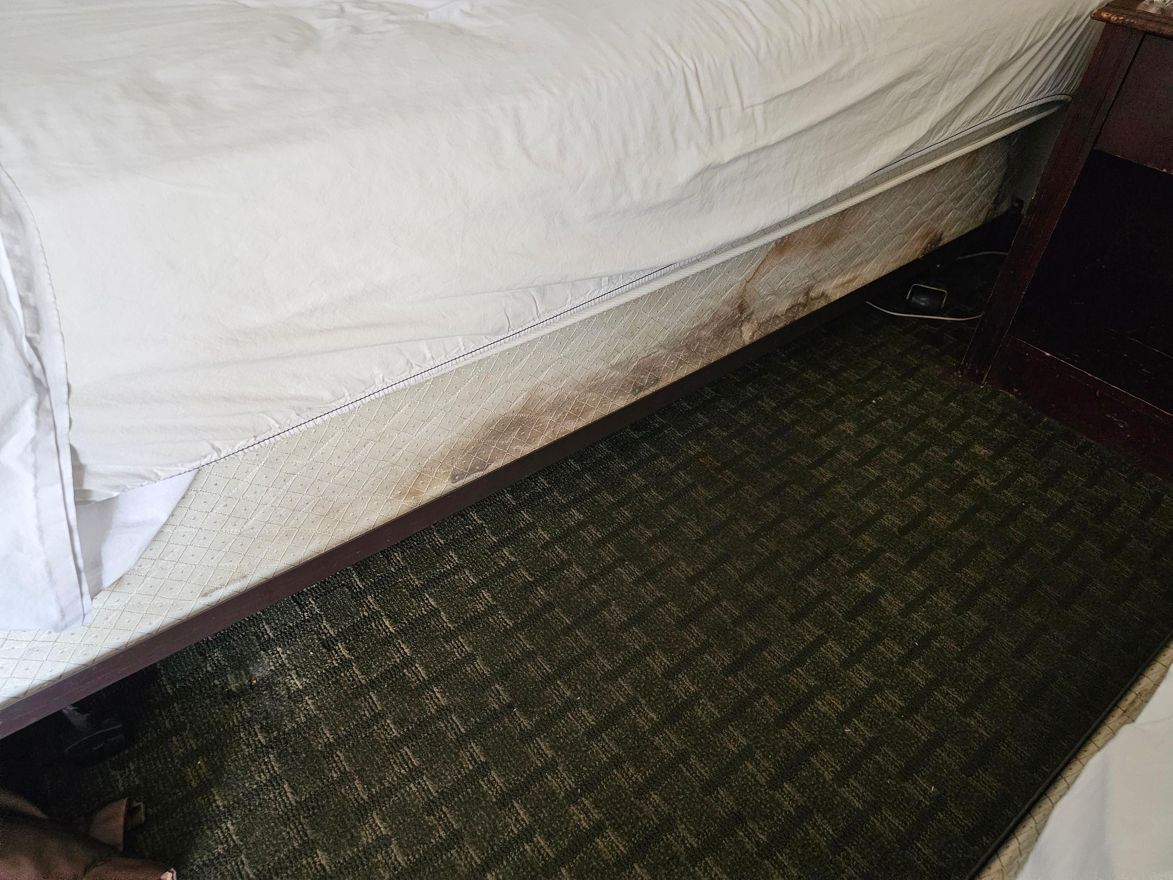 Stained box spring