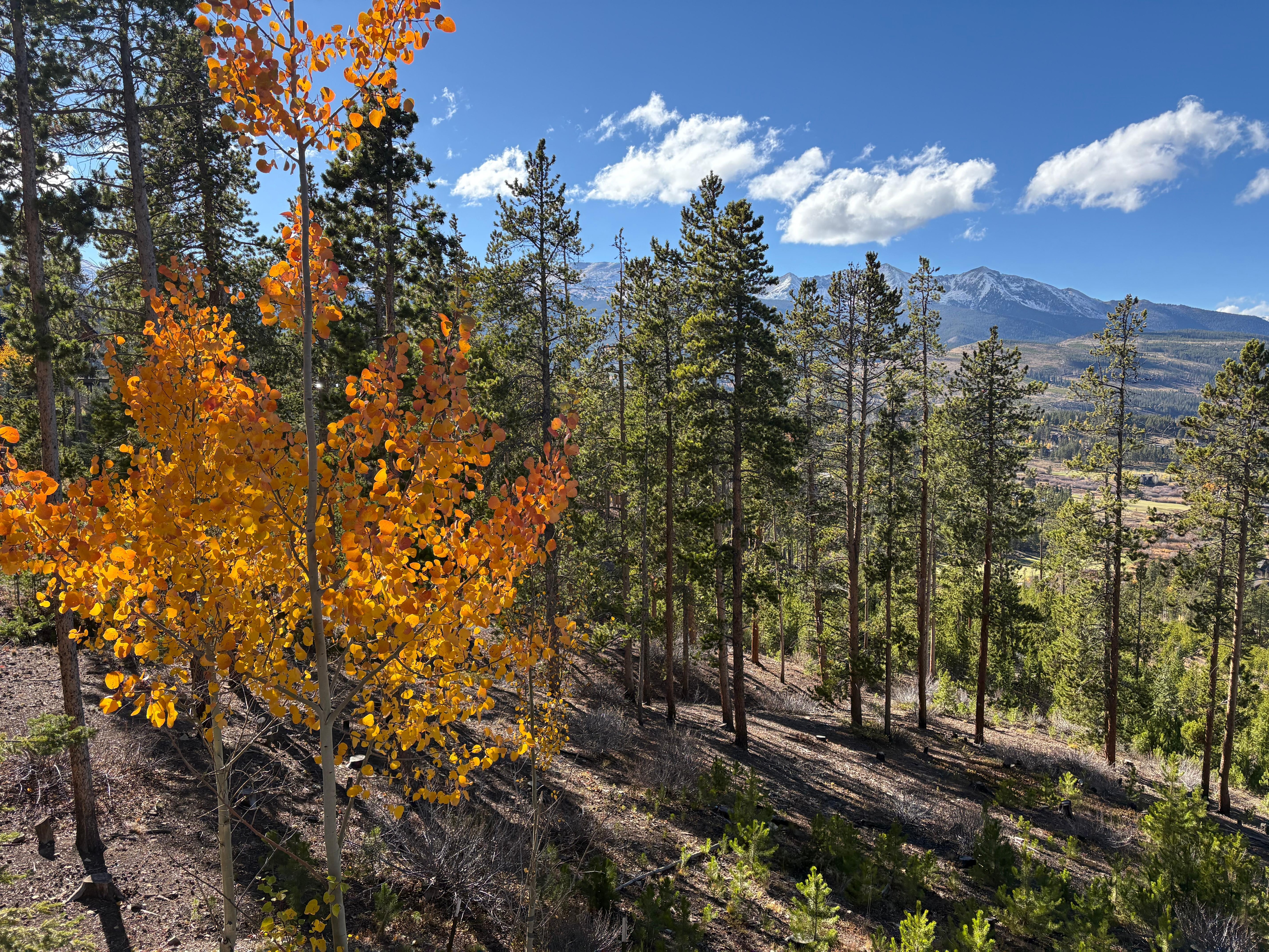 View from back deck.