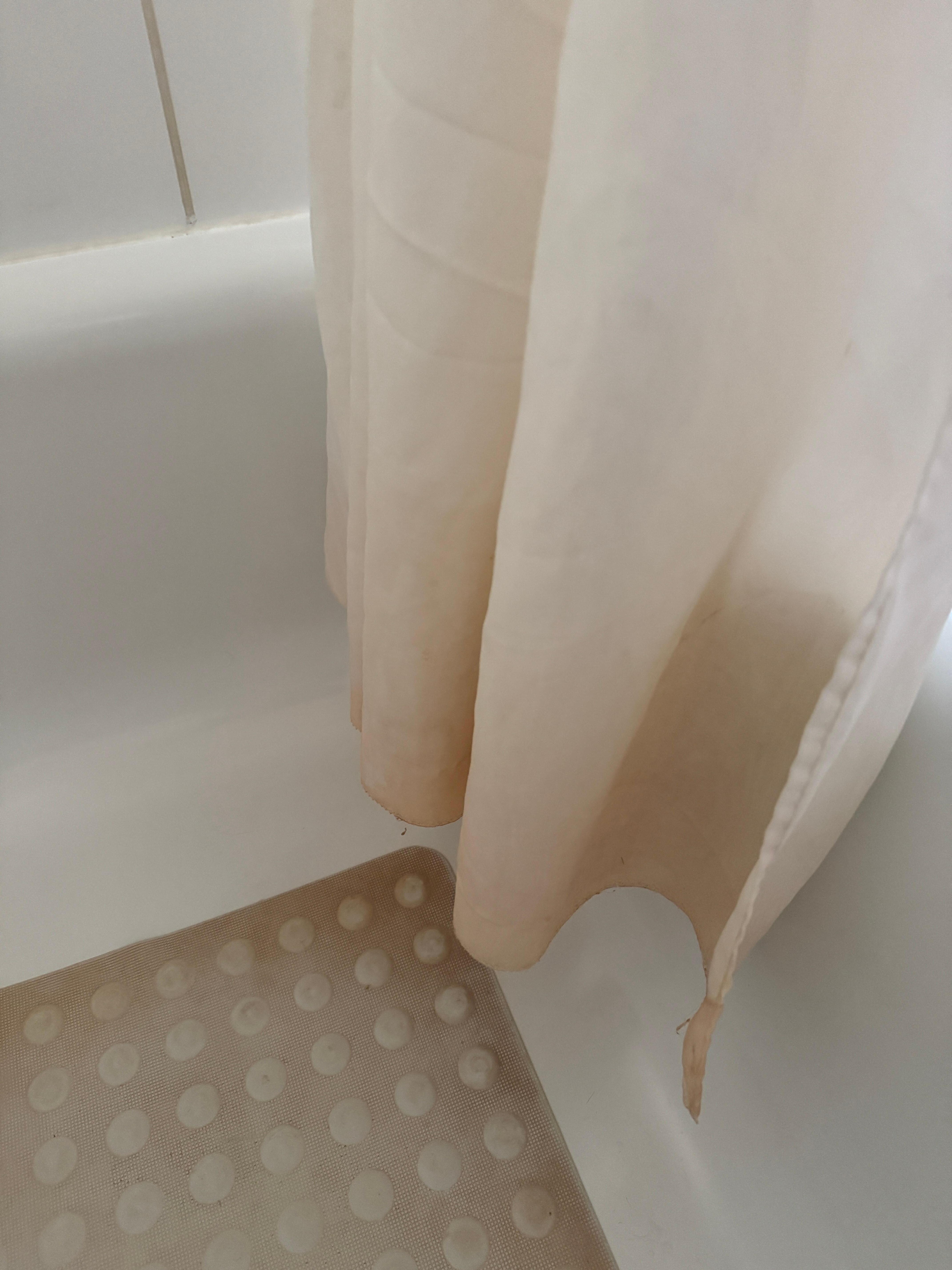 Shower curtain 