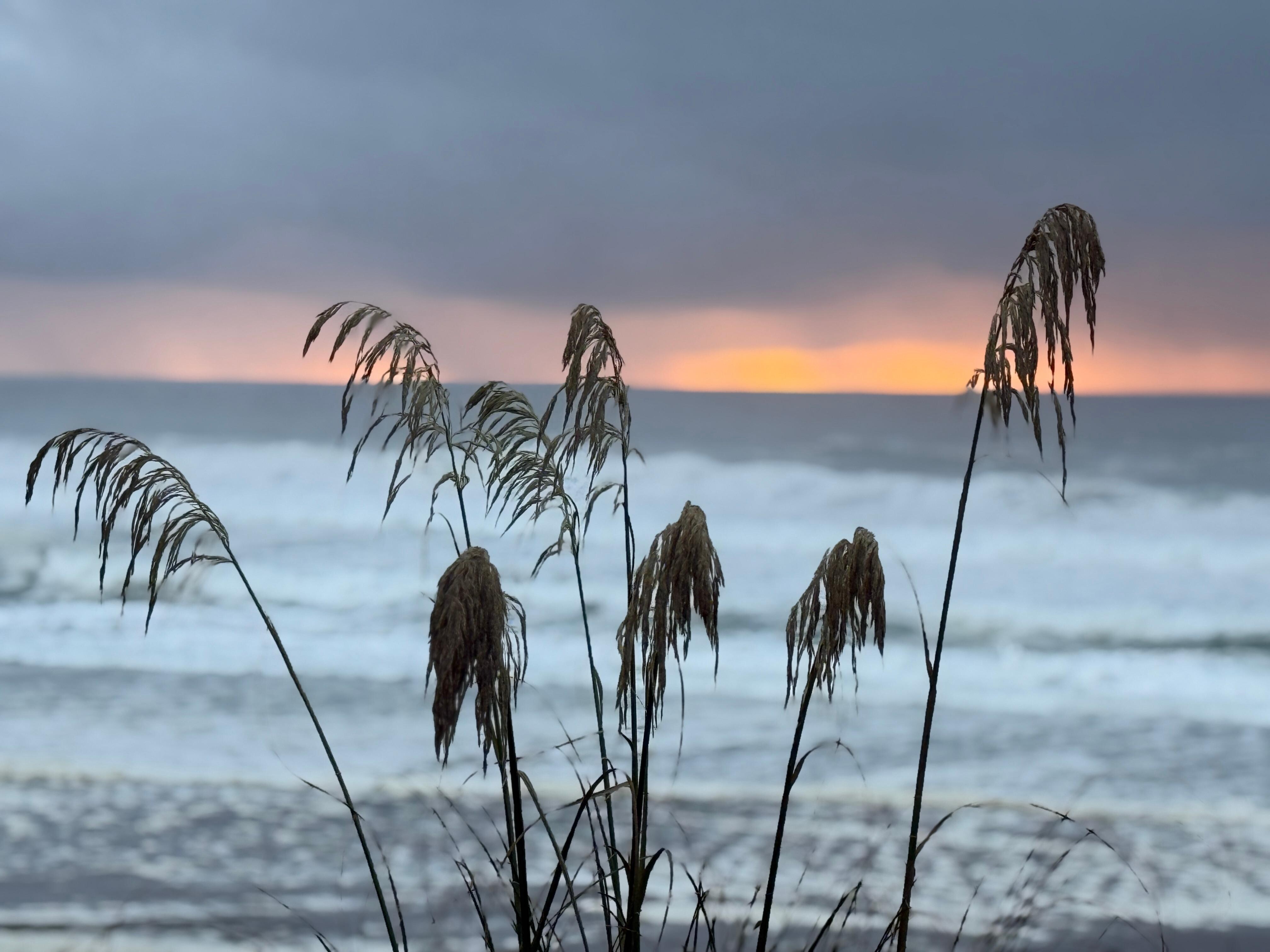 View from top of stairs leading to beach. A short walk away. 