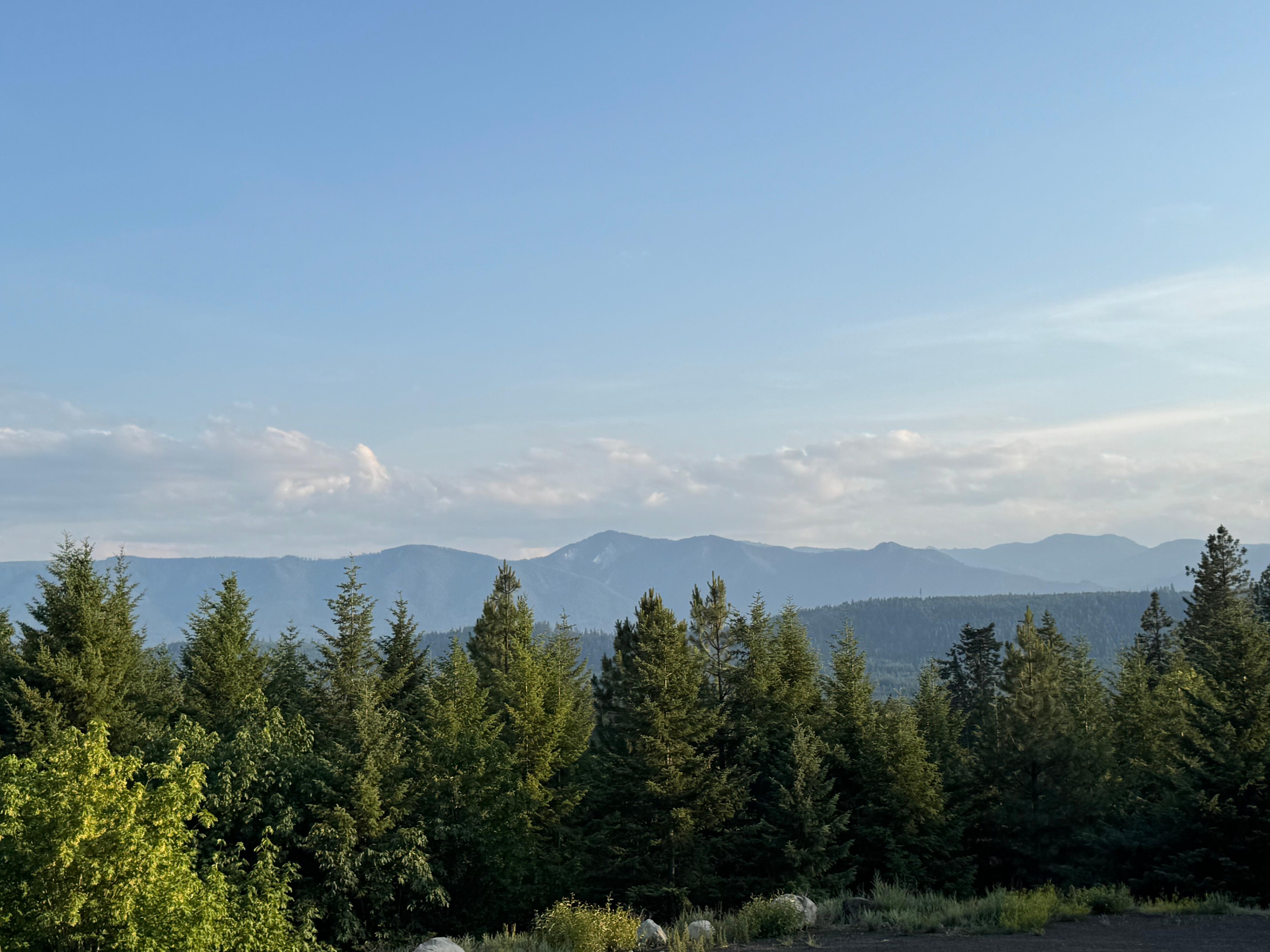 A view from a walk in the neighborhood.