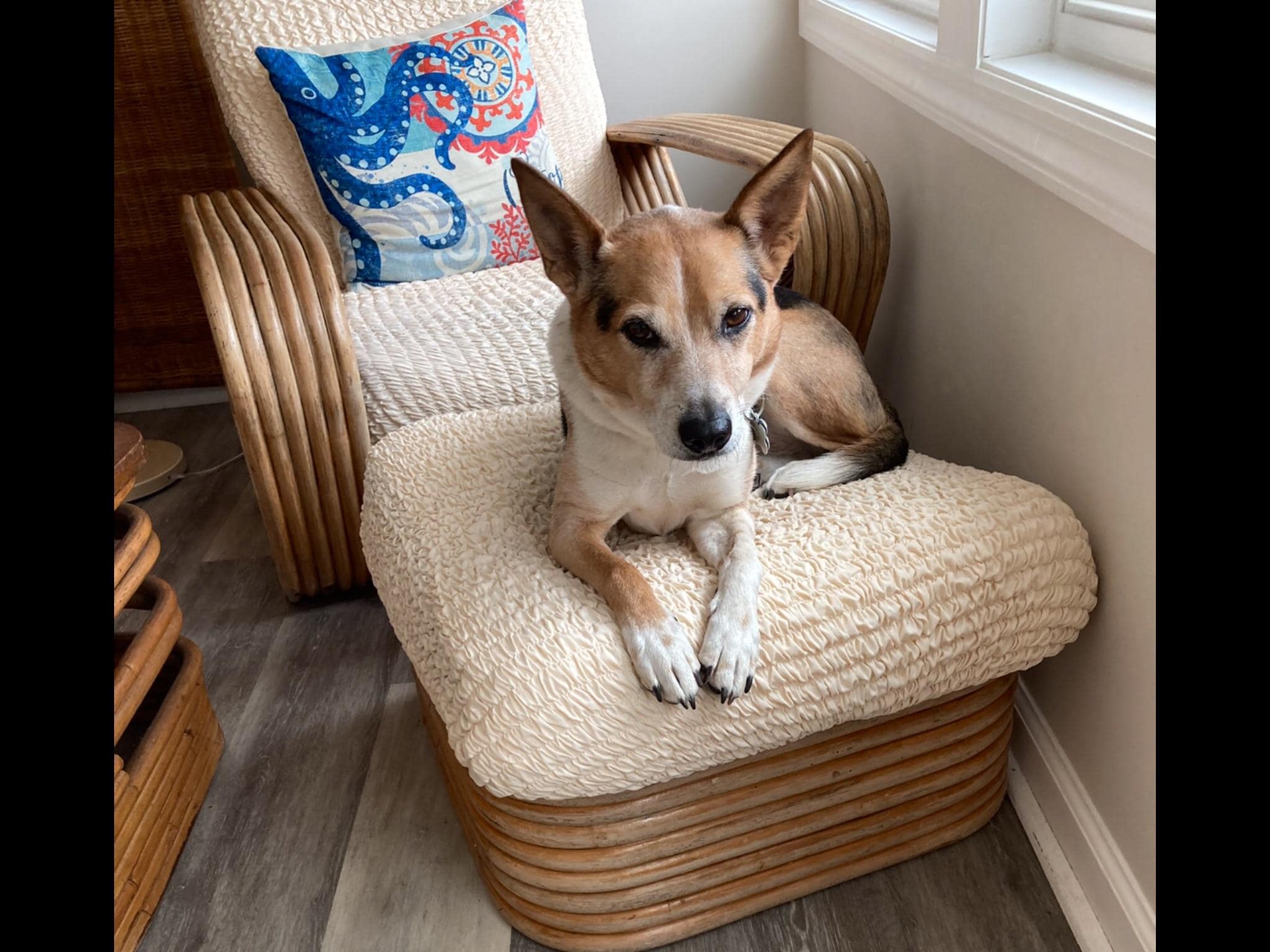 Life is great on the beach