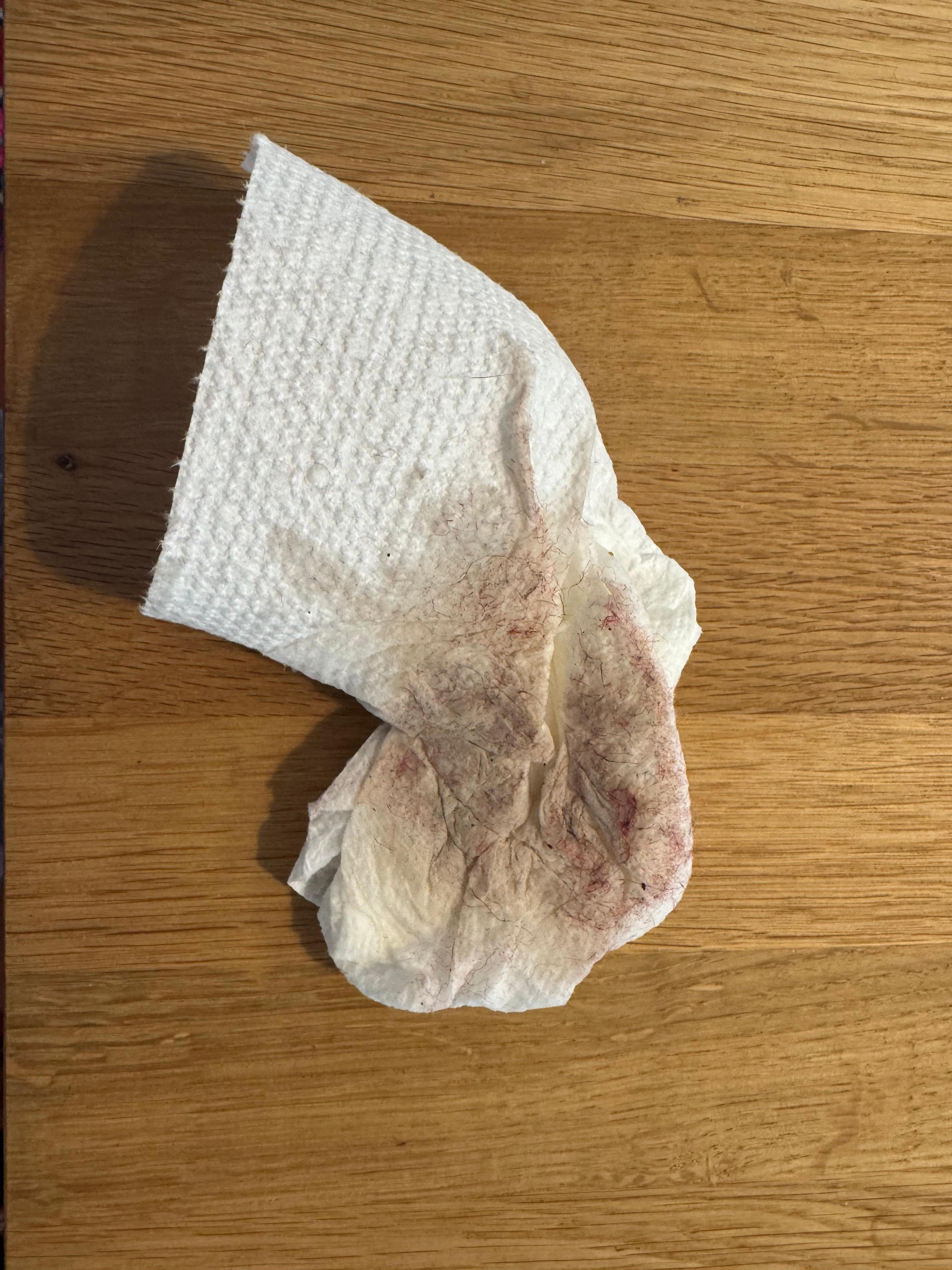 Paper towel after wiping water off floor on our first day there.