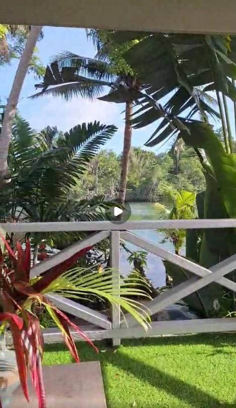 View from room verandah