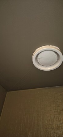 Cobwebs in toilet