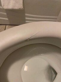Torn toilet seat