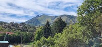 View from back deck