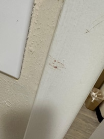 The walls were stained