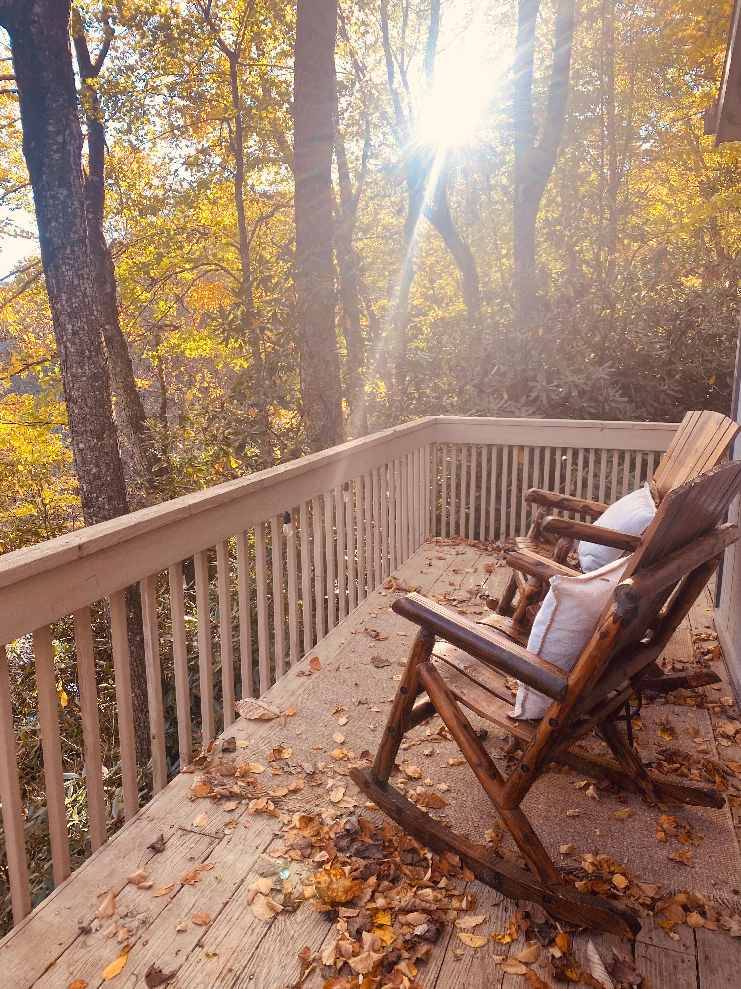 We loved being surrounded by the trees. 