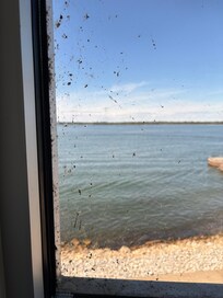 Dirty window