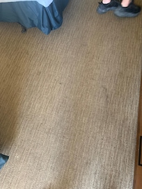 Carpet when we opened the door.