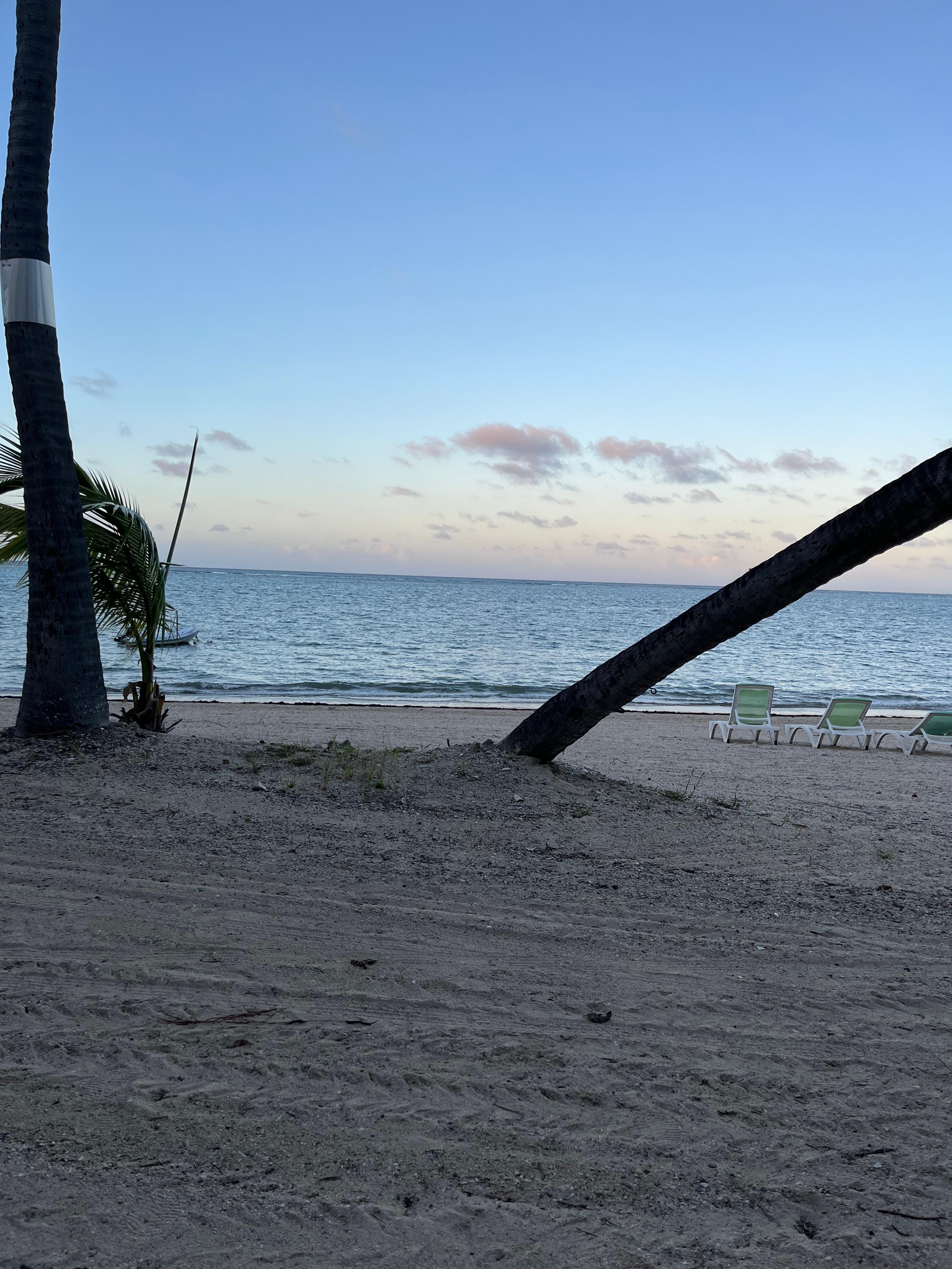 Outside the back patio