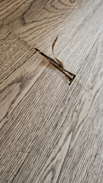 Room vinyl floor coming up all over the room.  Trip hazard & caused black dust all over floor.