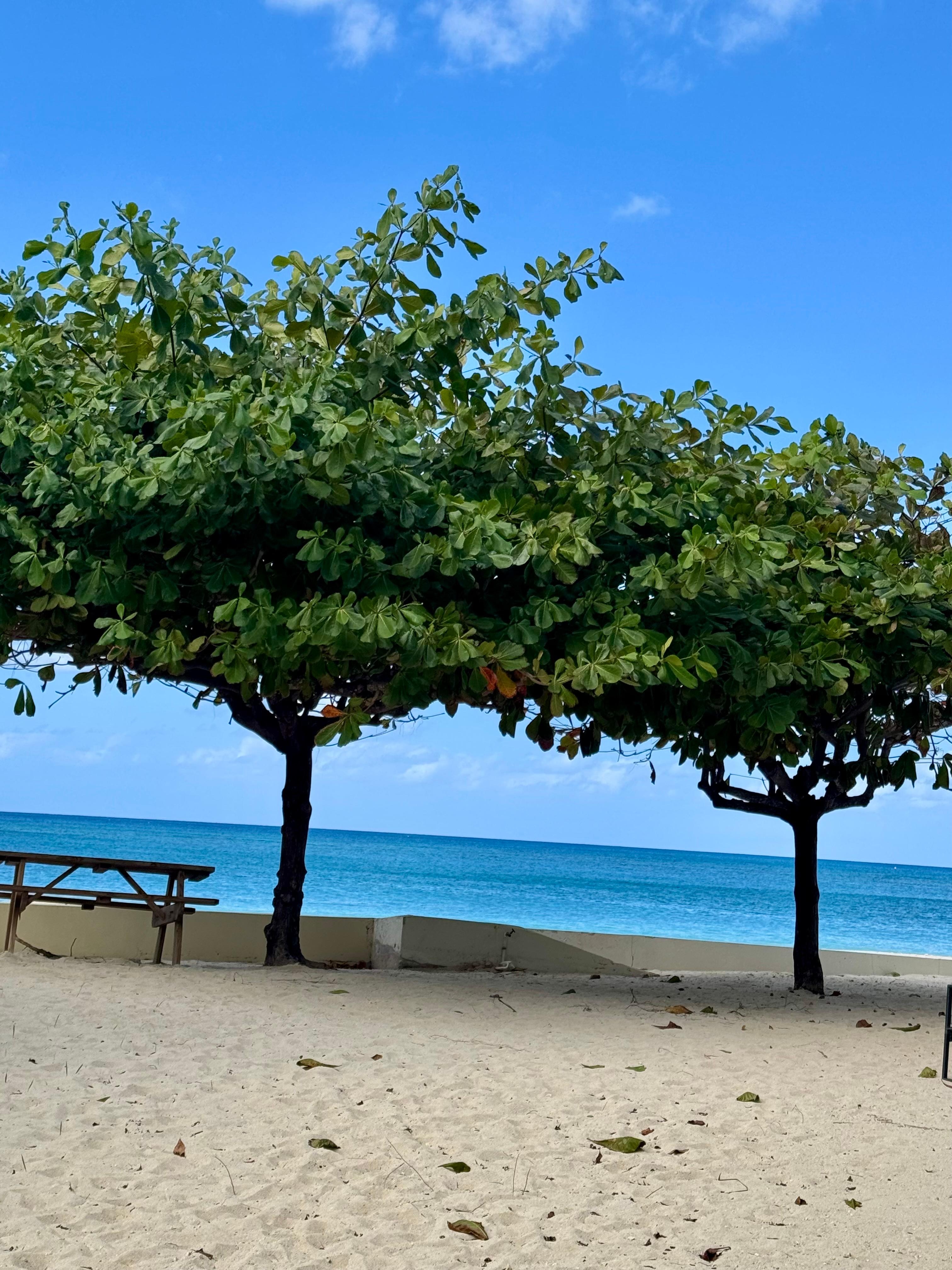 View from just outside the door of the unit. 