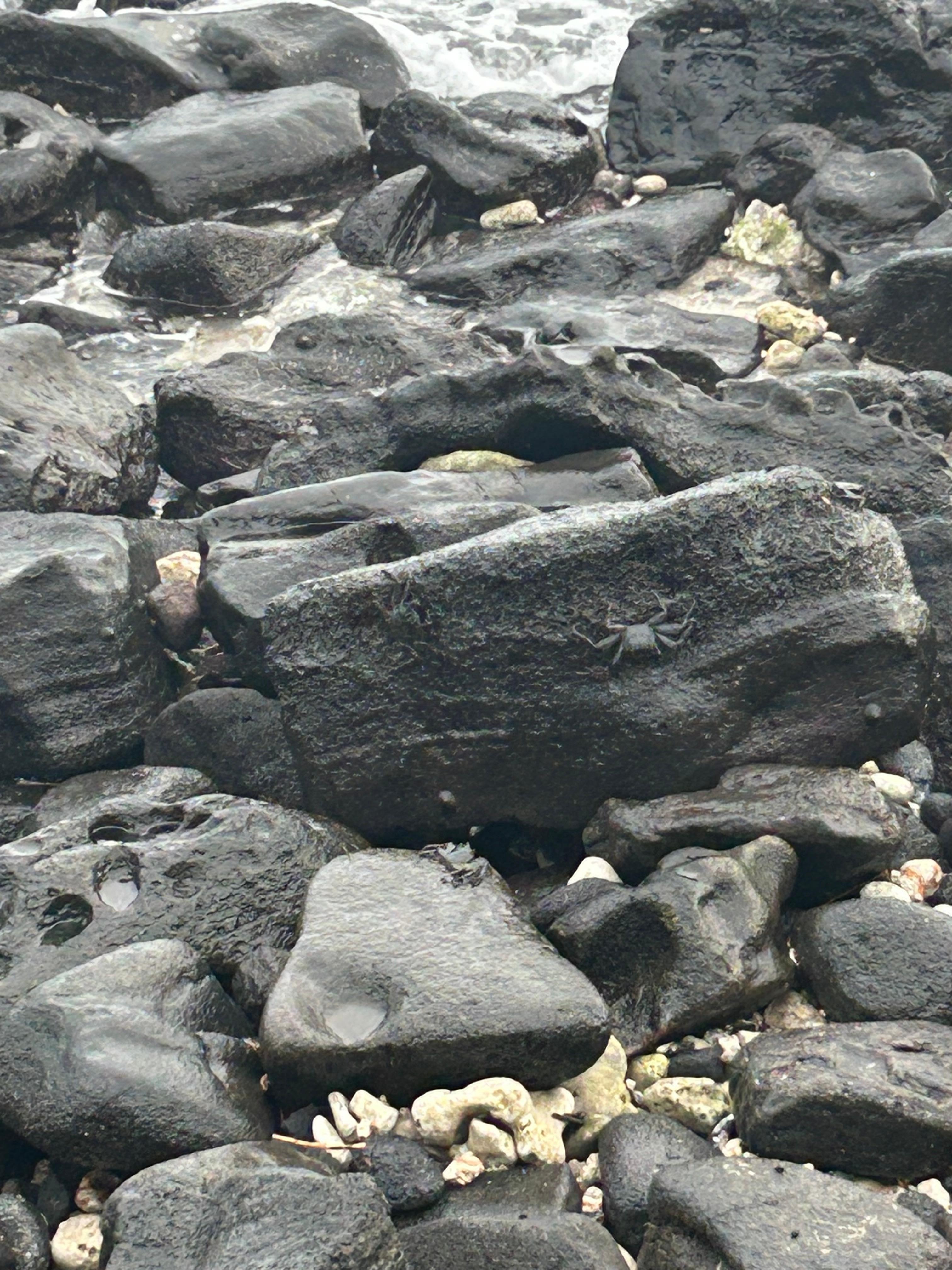 Lava rock in front of resort 