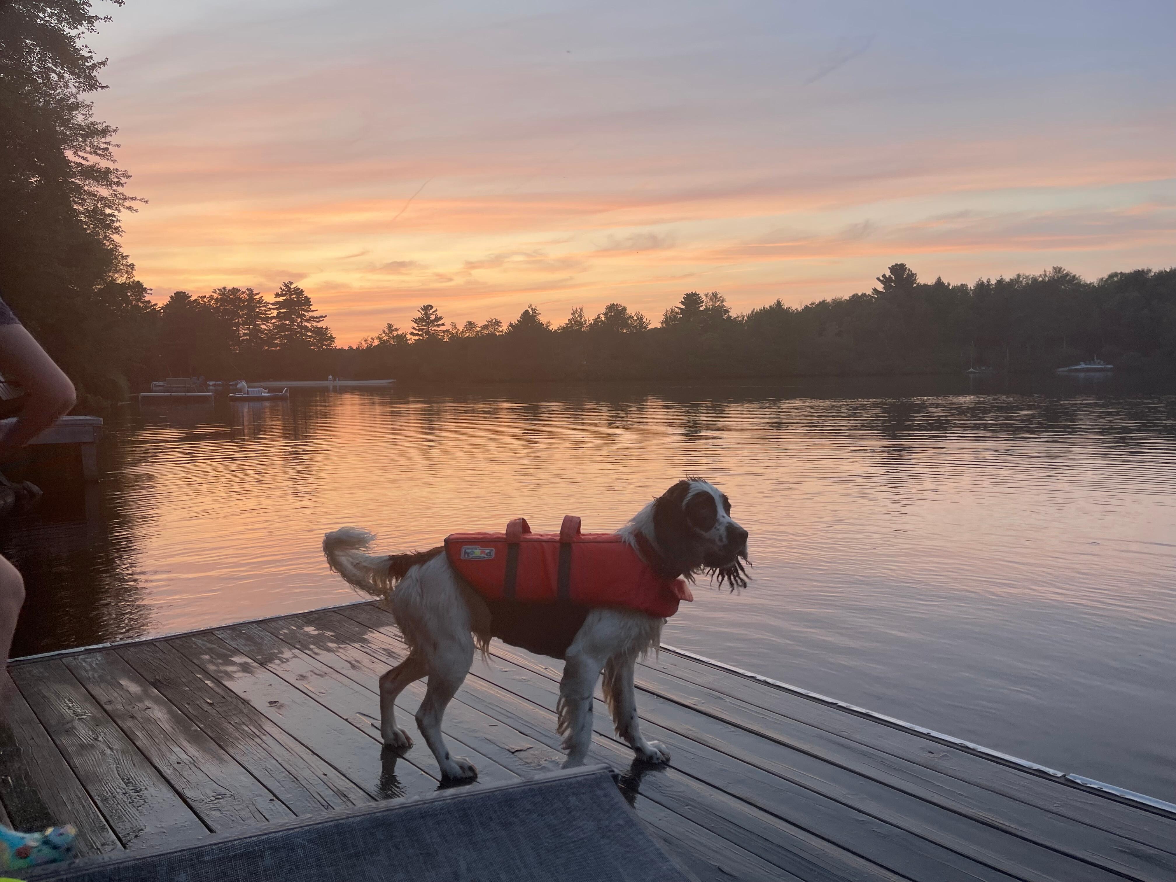 Beautiful sunset on the lake!