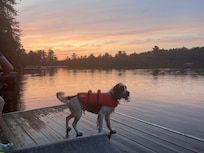 Beautiful sunset on the lake!