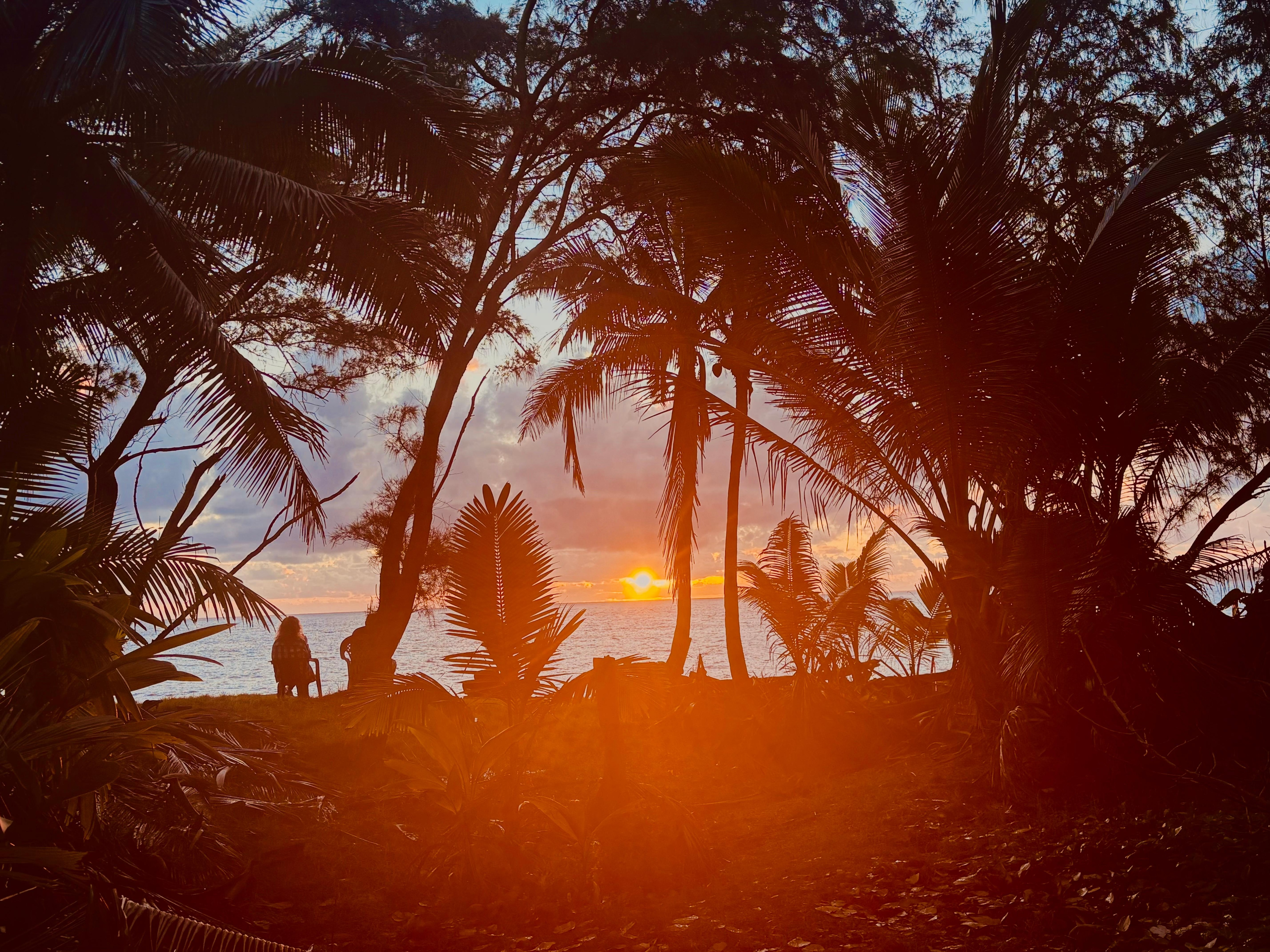 Taken right next door to property up a little trail. 