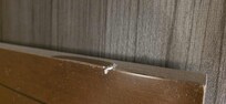 Dust bunnies