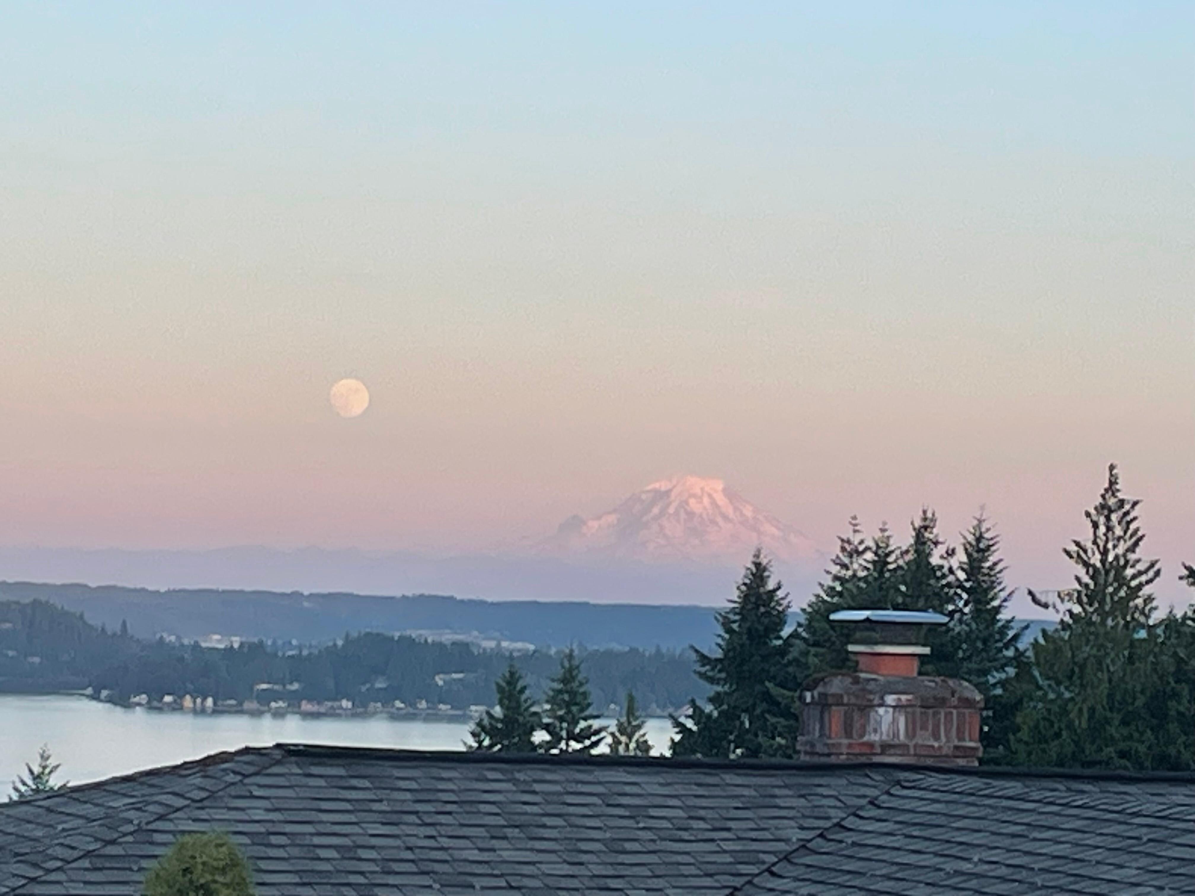 View from back deck